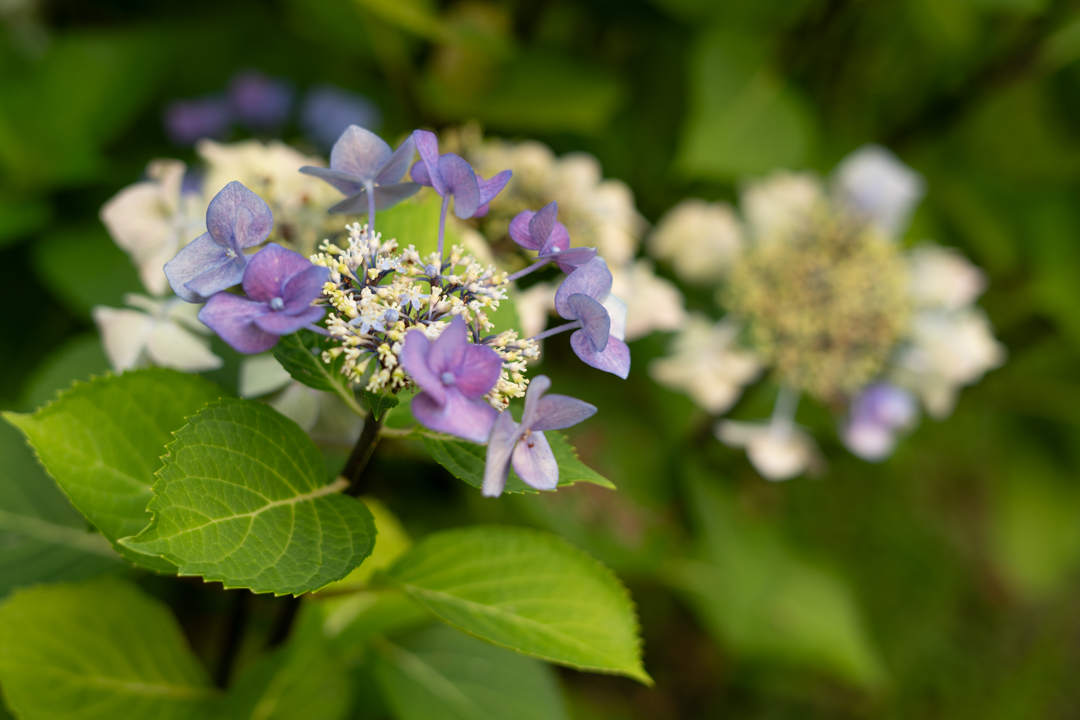 “IL CORAGGIO DELL’IMPERFEZIONE”